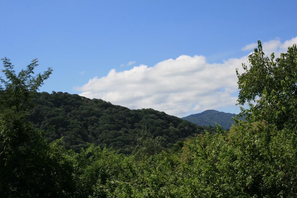 Onda Verde Hostel Сан-Сальвадор-де-Жужуй Экстерьер фото